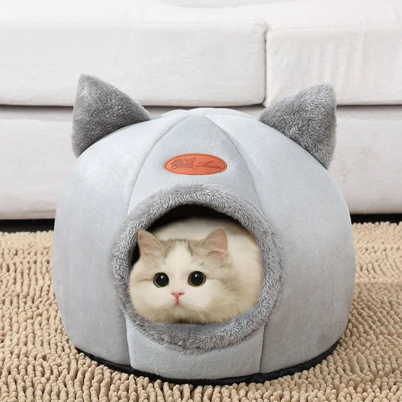 PurrPod™ AshHollow