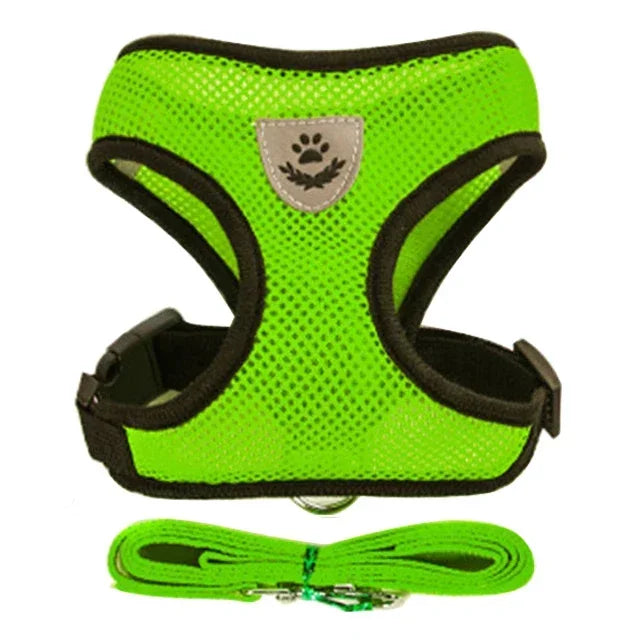 WhiskerWalk™ Lite Harness Set | Reflective Mesh Cat Vest & Leash for Safe Outdoor Adventures | MyArturito