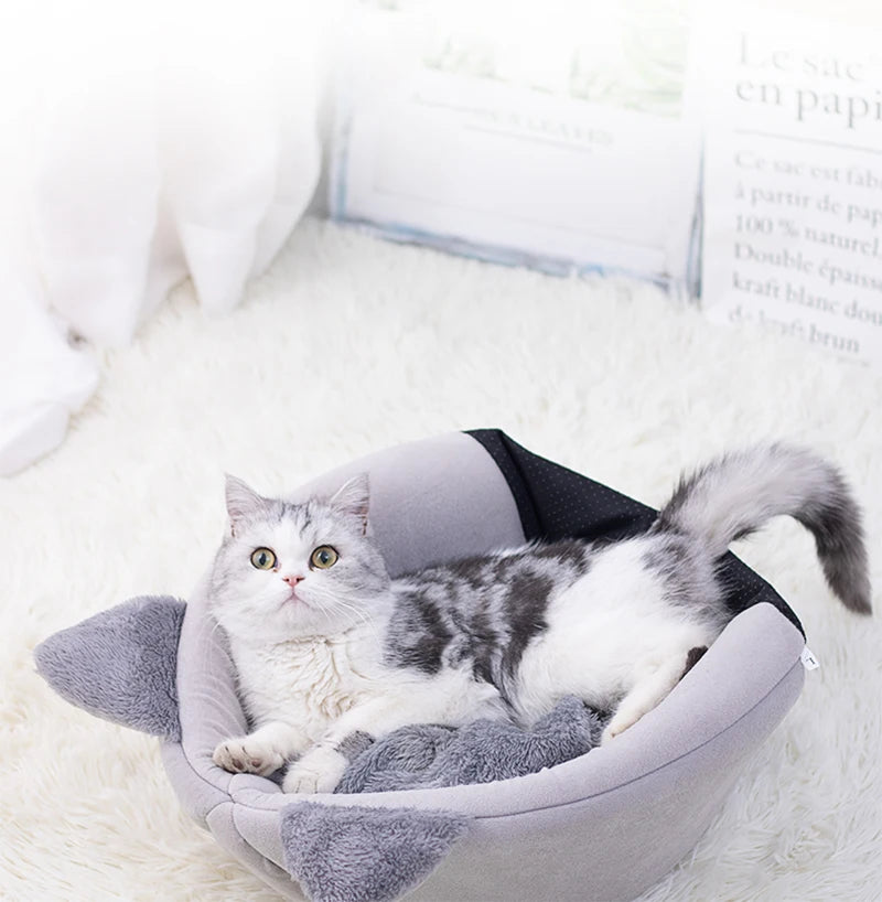 PurrPod™ AshHollow