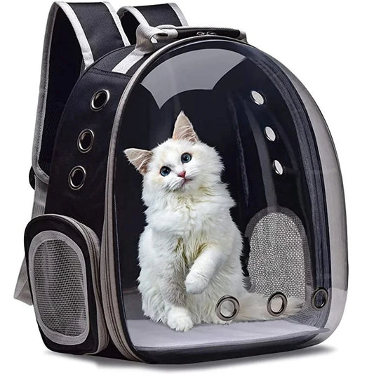 Capsule Backpack Transparent Pet Carrier For Cats & Small Dogs | MyArturito