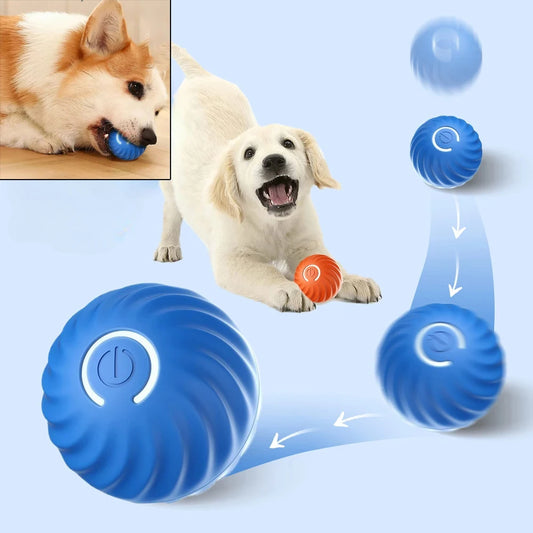 WoofPlay™ BounceBuddy