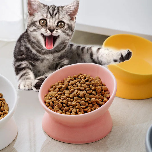 PurrFeast™ | 15° Tilted Ceramic Cat Bowl | Raised Feeder for Healthy Posture & Easy Digestion | MyArturito