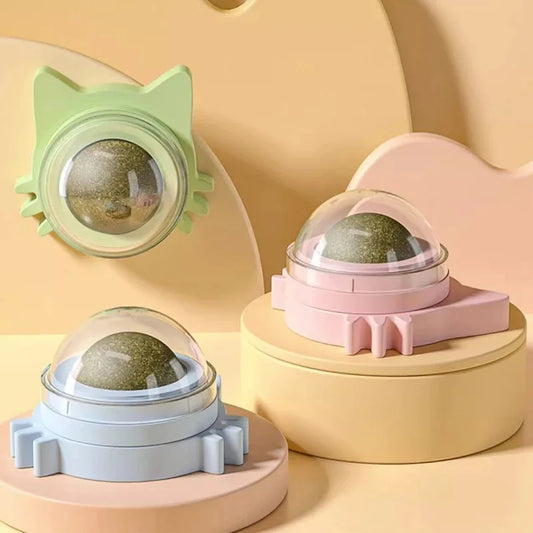 PawPop | Wall-Mounted Catnip Lollipop Treat | Fresh Breath & Dental Care | MyArturito