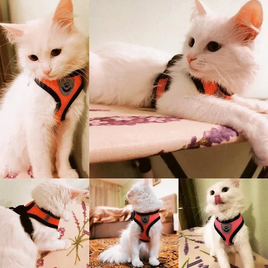 WhiskerWalk™ Lite Harness Set | Reflective Mesh Cat Vest & Leash for Safe Outdoor Adventures | MyArturito