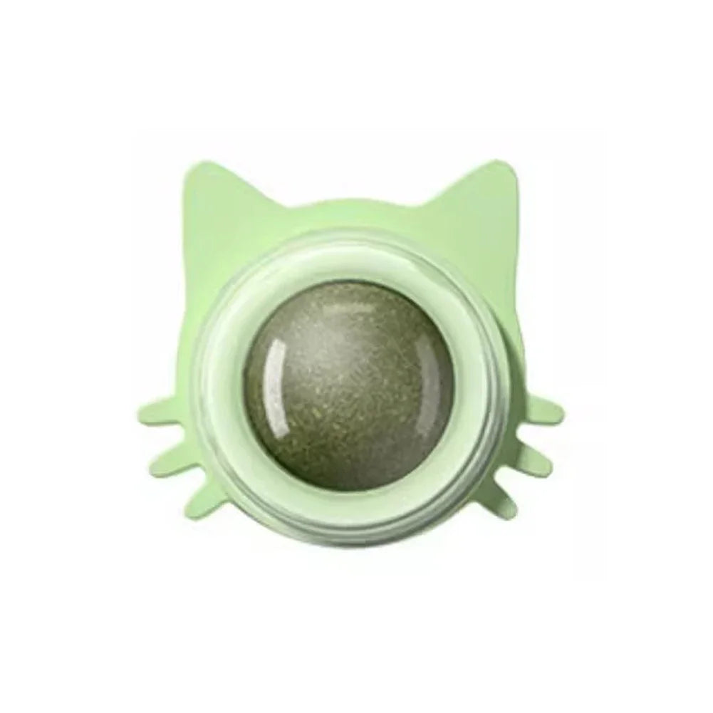 PawPop | Wall-Mounted Catnip Lollipop Treat | Fresh Breath & Dental Care | MyArturito