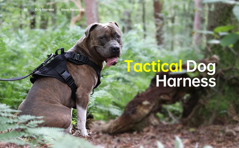 Tactical Military Vest Pet German Shepherd Golden Retriever Tactical Training Dog Harness and Leash Set For All Breeds Dogs