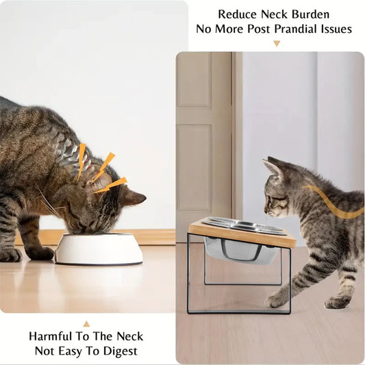 PurrFeast™ Duo | 15° Tilted Elevated Cat Bowls with Wooden Stand | Anti-Vomiting Stainless Steel Set | MyArturito