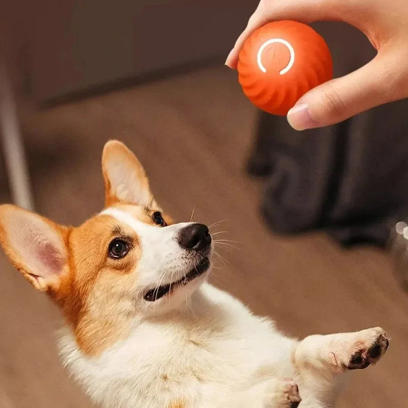 WoofPlay™ BounceBuddy