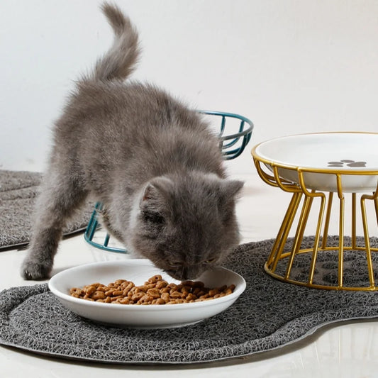 PurrFeast™ Solo | Ceramic Elevated Cat Bowl with Stainless Steel Holder | Stylish Feeder for Food or Water | MyArturito