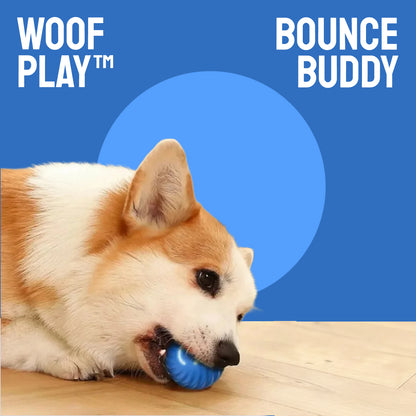 WoofPlay™ BounceBuddy