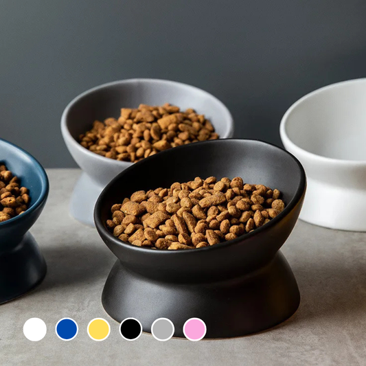 Cat Bowl Raised 15° Tilted Ceramic  Feeder For Healthy Posture & Digestion | MyArturito