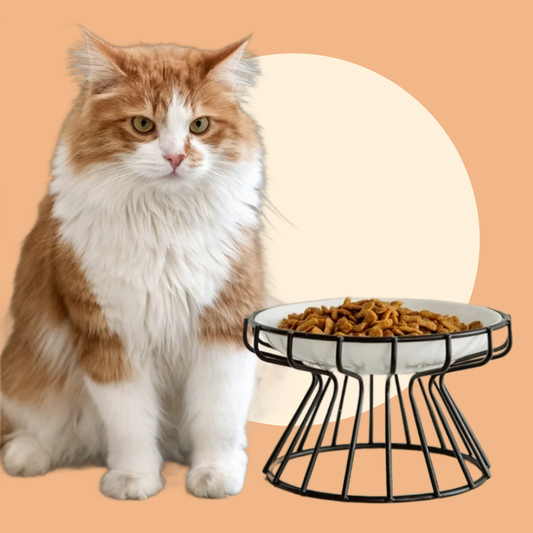Ceramic Elevated Cat Bowl With Stainless Steel Holder Food Or Water | MyArturito