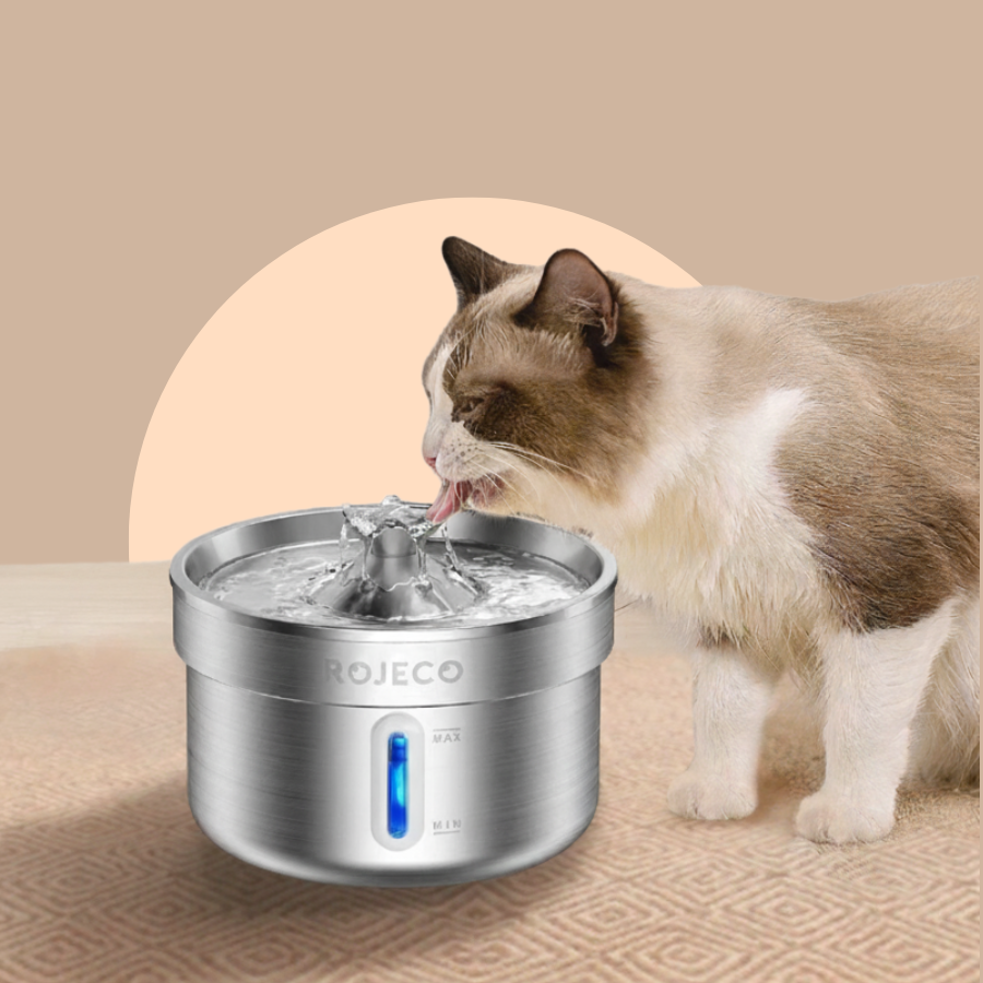 Stainless Steel Automatic Cat Water Fountain Smart Pet Dispenser | MyArturito