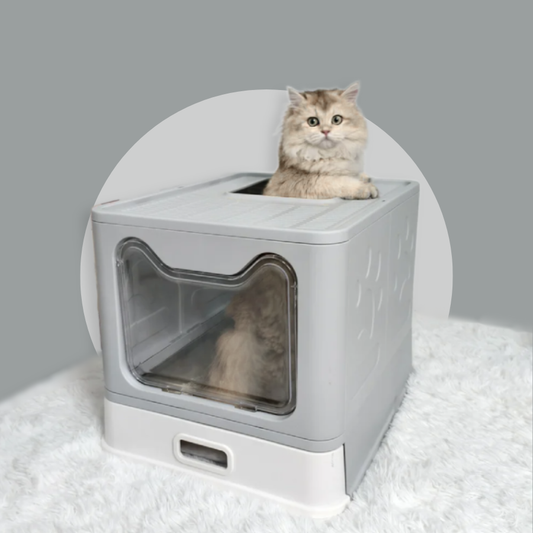 Enclosed Stainless Steel Cat Litter Box With Scoop & Easy-Clean Tray | MyArturito