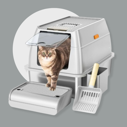 Removable Stainless Steel Cat Litter Box Enclosed & Open Design | MyArturito