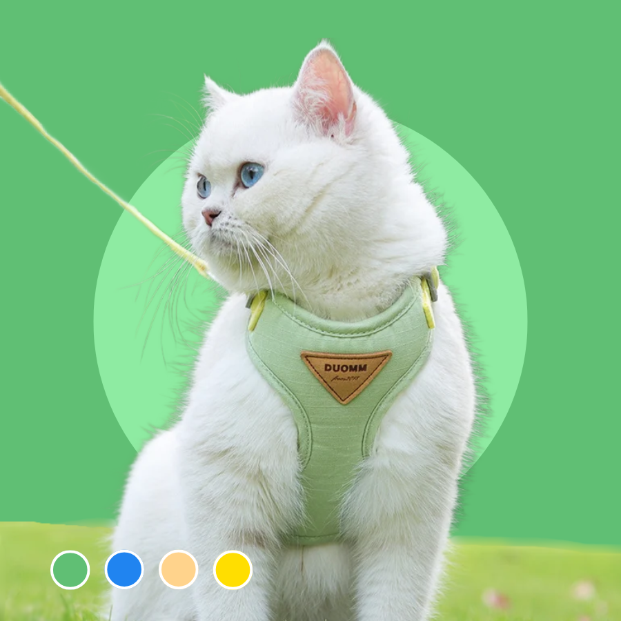 Soft Cat Harness And Leash Set Breathable Adjustable Vest For Cats And Small Dogs | MyArturito