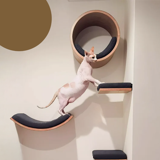 Wall-Mounted Cat Tree Wooden Shelves Hammock & Climbing Ladder Set | MyArturito