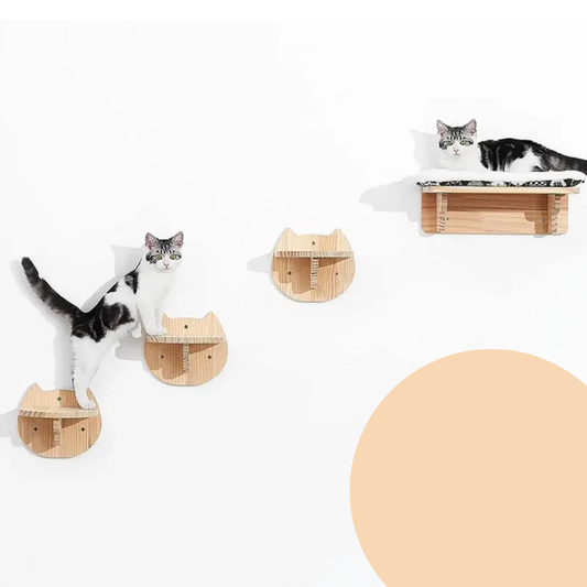 Wall-Mounted Cat Hammock w/ Ladder & Scratching Post | MyArturito