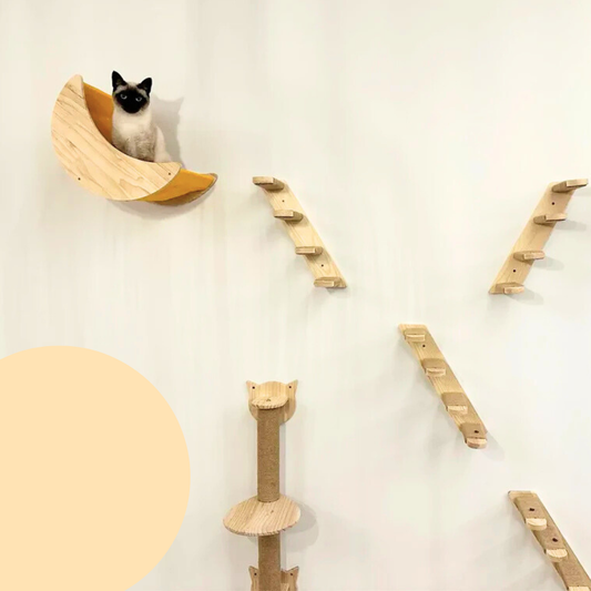 Wall-Mounted Cat Climbing Set With Shelves Bridge Hammock Scratching Post | MyArturito