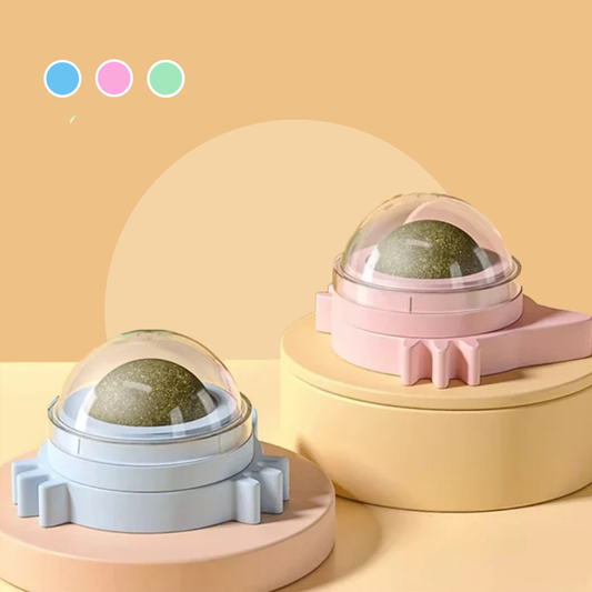 Wall-Mounted Catnip Lollipop Treat Fresh Breath And Dental Care | MyArturito