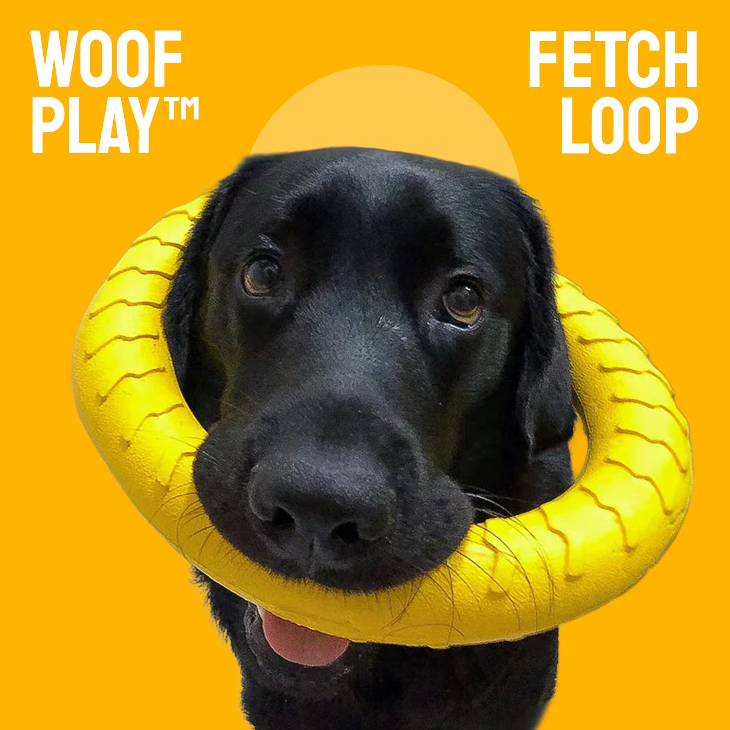 WoofPlay™ FetchLoop