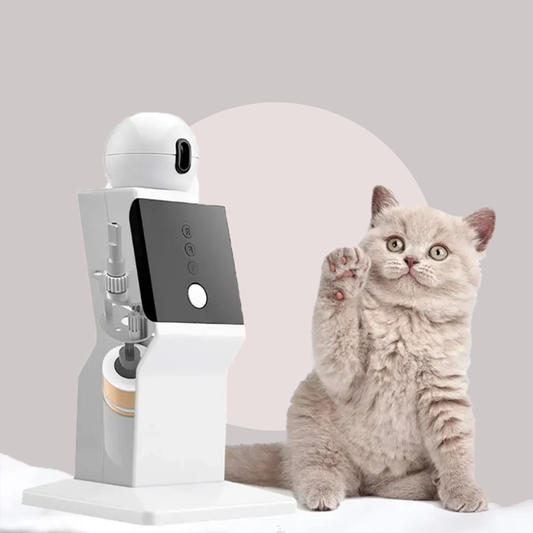 Automatic Cat Laser Toy 360° Random Moving Interactive Red Dot | MyArturito