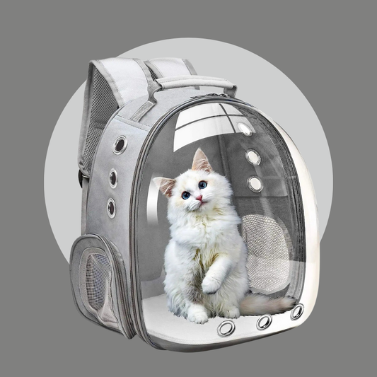 Capsule Backpack Transparent Pet Carrier For Cats & Small Dogs | MyArturito