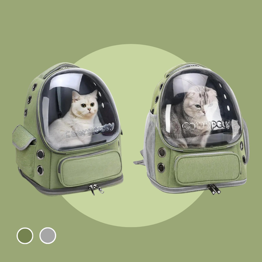 Transparent Travel Backpack Folding Pet Carrier For Cats & Small Dogs | MyArturito