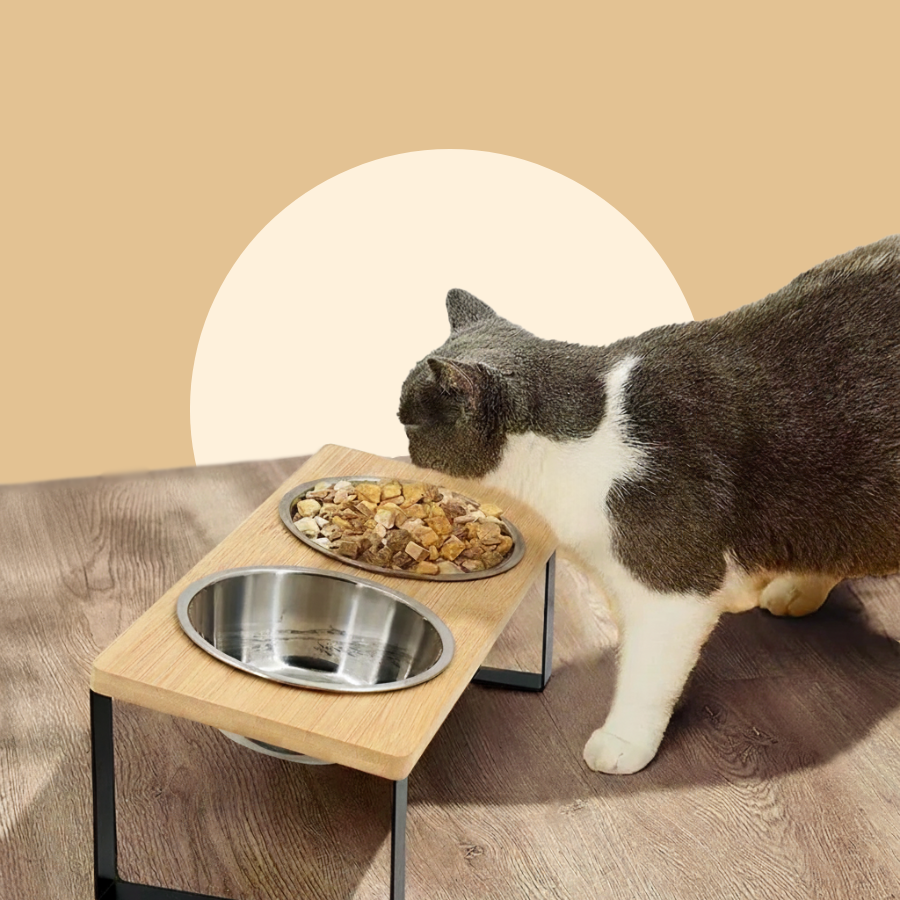 Elevated Cat & Puppy Bowls Food Wooden Stand Anti-Vomiting Stainless Steel | MyArturito