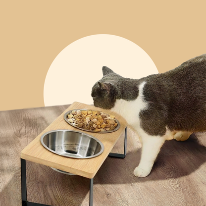 Elevated Cat & Puppy Bowls Food Wooden Stand Anti-Vomiting Stainless Steel | MyArturito