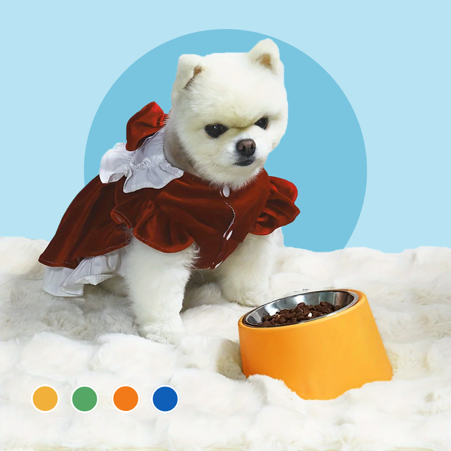 Elevated Dog Bowl Slanted Stainless Steel Food And Water Basin Feeder | MyArturito