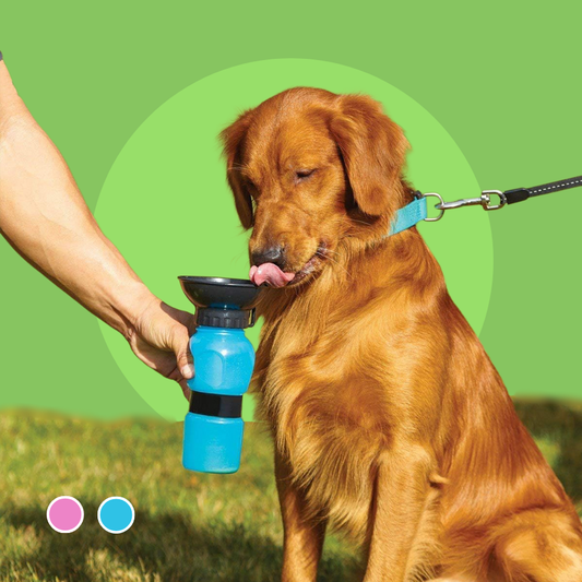 500ml Outdoor Portable Pet Dog Water Bottle Extrusion Large Dog Travel Water Cup Drinking Water Feeder Bowl for Dog Cat