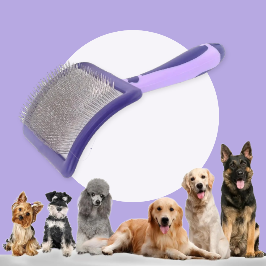 Dog Grooming Brush Dematting And Detangle For All Breeds Coats | MyArturito