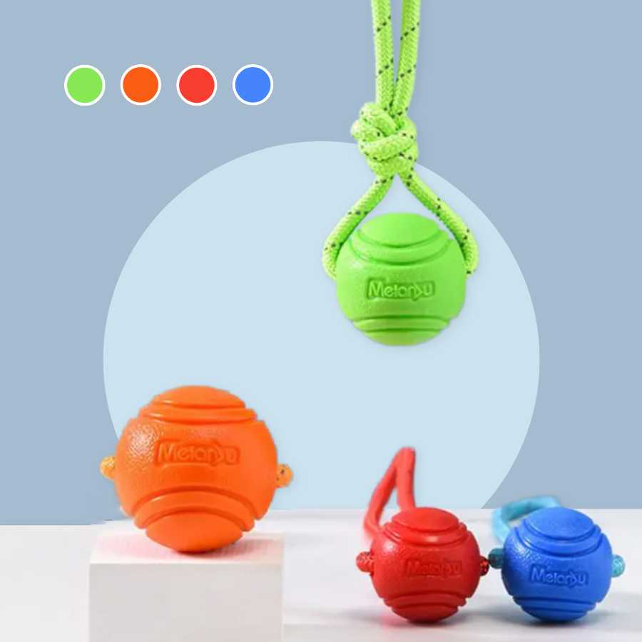 Dog Ball Toy With Rope Chew & Dental Cleaner Interactive Play | MyArturito