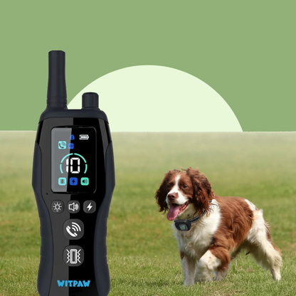 Dog Training Collar 6500 ft Remote 4 Modes Waterproof For All Sizes | MyArturito