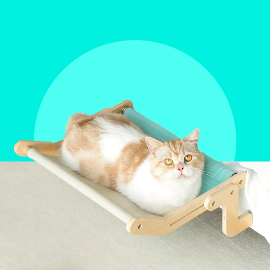 Cat Hammock Wooden Canvas Bed Breathable No Drill Window & Wall Design | MyArturito
