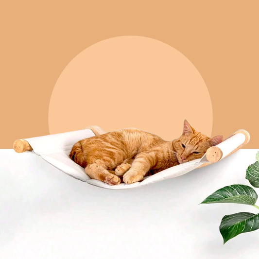 Wall-Mounted Wooden Cat Hammock Floating Bed For Rest And Climbing | MyArturito