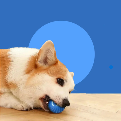 Interactive Moving Bouncing Dog Toy Ball USB Rechargeable Smart Play | MyArturito