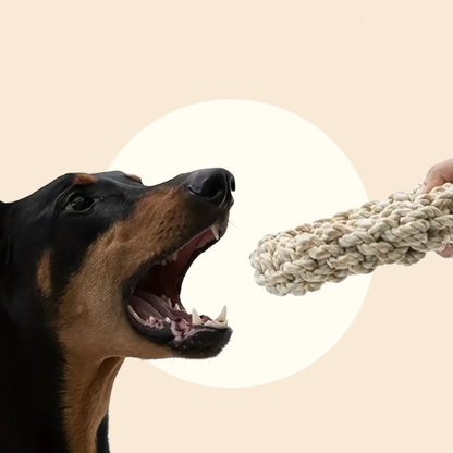 Rope Chewers Toy Durable Nylon For Medium And Large Dogs | MyArturito