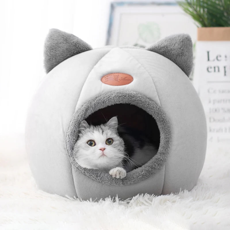 PurrPod™ AshHollow