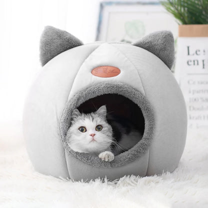 PurrPod™ AshHollow
