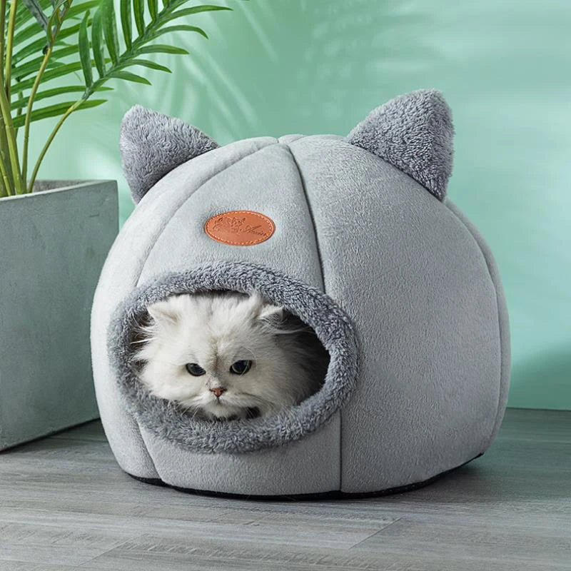 PurrPod™ AshHollow