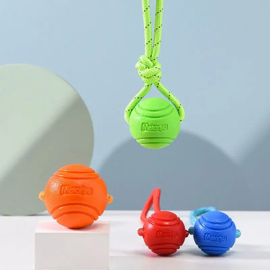 Dog Ball Toy with Rope | Bouncy Chew & Dental Cleaner | MyArturito