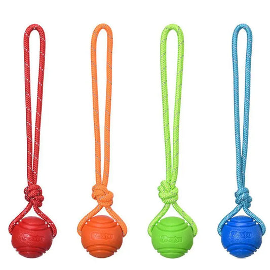 Dog Ball Toy with Rope | Bouncy Chew & Dental Cleaner | MyArturito