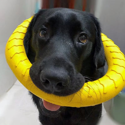 WoofPlay™ FetchLoop