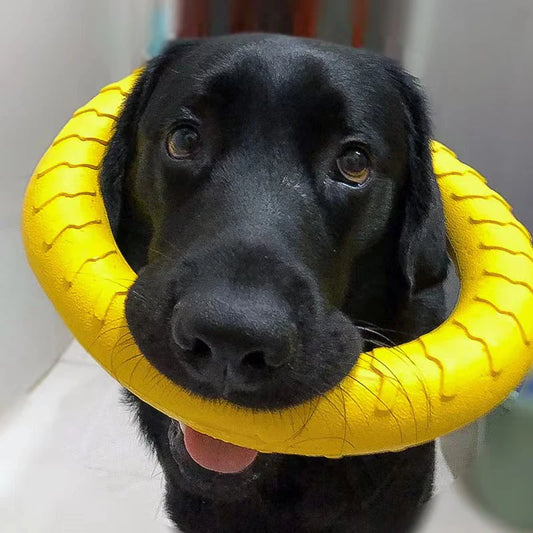 WoofPlay™ FetchLoop