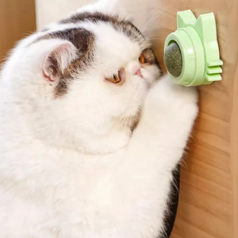1PCS Catnip Lollipop Cat Treat Wall Design Dental Care Fresh Breath Cat Snacks Energy Ball Stomach Protection Pet Supplies