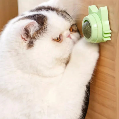 1PCS Catnip Lollipop Cat Treat Wall Design Dental Care Fresh Breath Cat Snacks Energy Ball Stomach Protection Pet Supplies