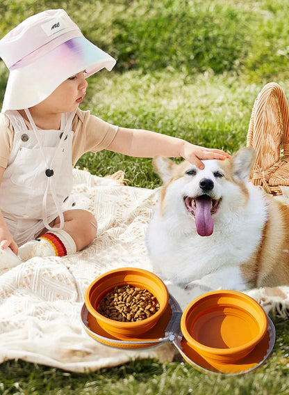 2 in 1 Foldable Pet Food Bowl Portable Silicone Puppy Dual Bowl Outdoor Travel Dog Drinking Bowl Folding Cat Bowls Dog Bowls
