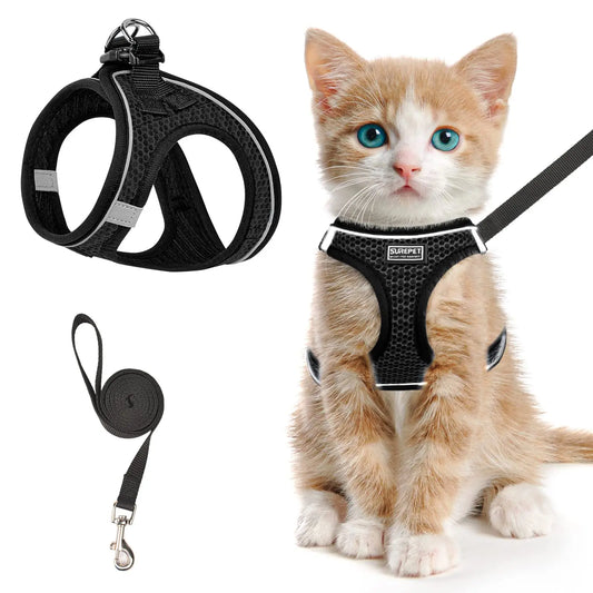 Cat Harness Soft Mesh Vest With Leash Reflective Escape Proof Design | MyArturito